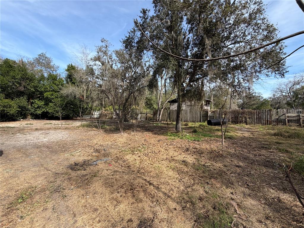 10711 Jacamar Drive New Port Richey, FL 34654 - Photo 10 of 19 a backyard of a house with lots of green space