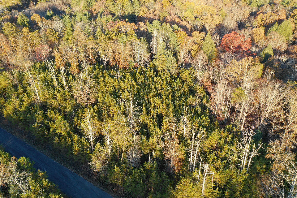 107 Huff Overlook Way Del Rio, TN 37727 - Photo 4 of 6 4