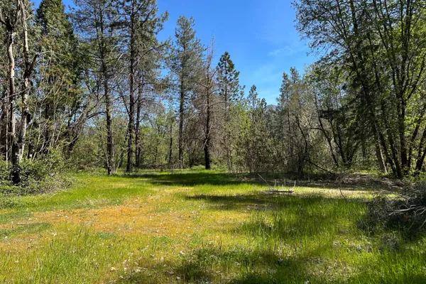 $55,000 | 21138 Big Oak Lane, Lakehead, CA 96051