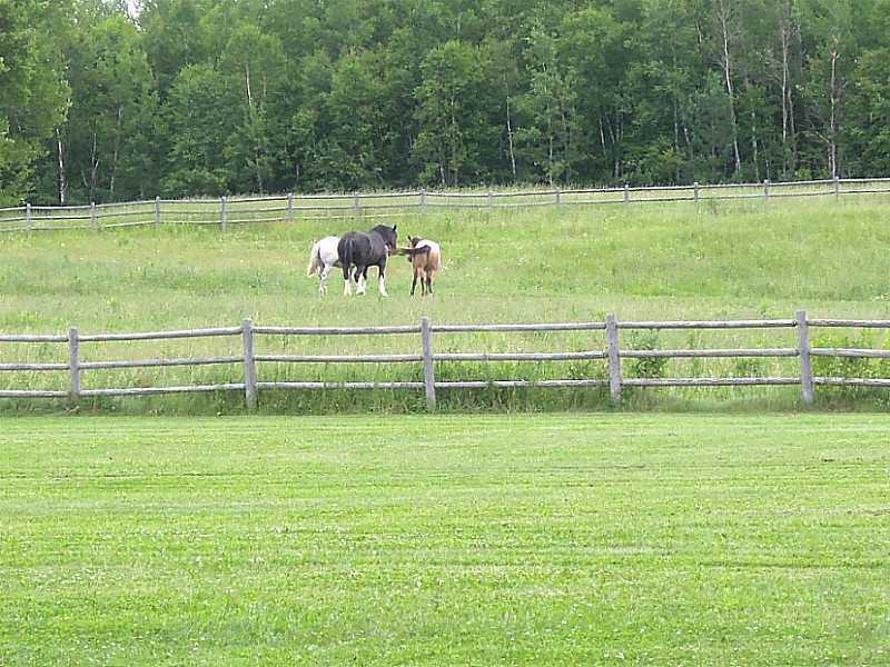 1038 East Presque Isle Road Caribou, ME 04736 - Photo 29 of 33 View.