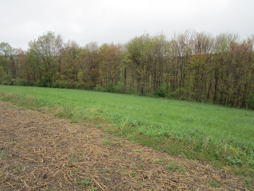 885 Stoney Lonesome Road Clarion, PA 16214 - Photo 29 of 40