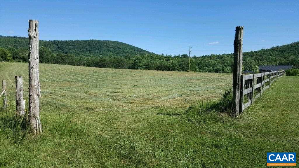8497 Laurel Road Shipman, VA 22971 - Photo 5 of 37 a view of a garden with a tree in the grass