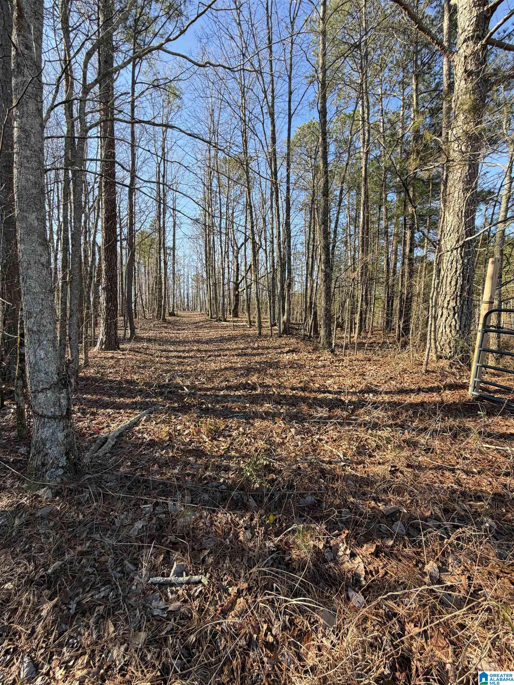 0 Ridge Road Cragford, AL 36255 - Photo 1 of 4