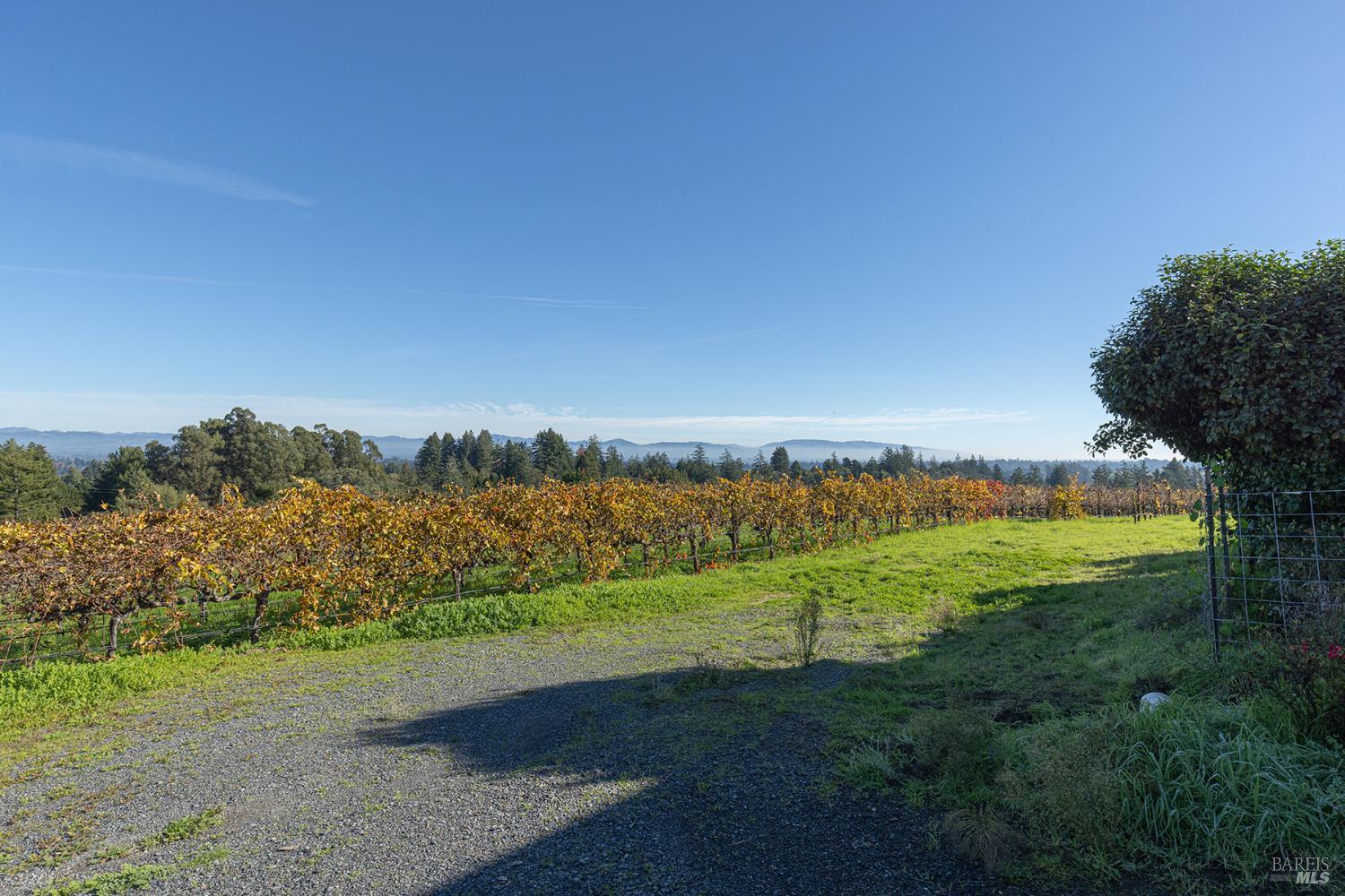 1365 Grandview Road Sebastopol, CA 95472 - Photo 58 of 74