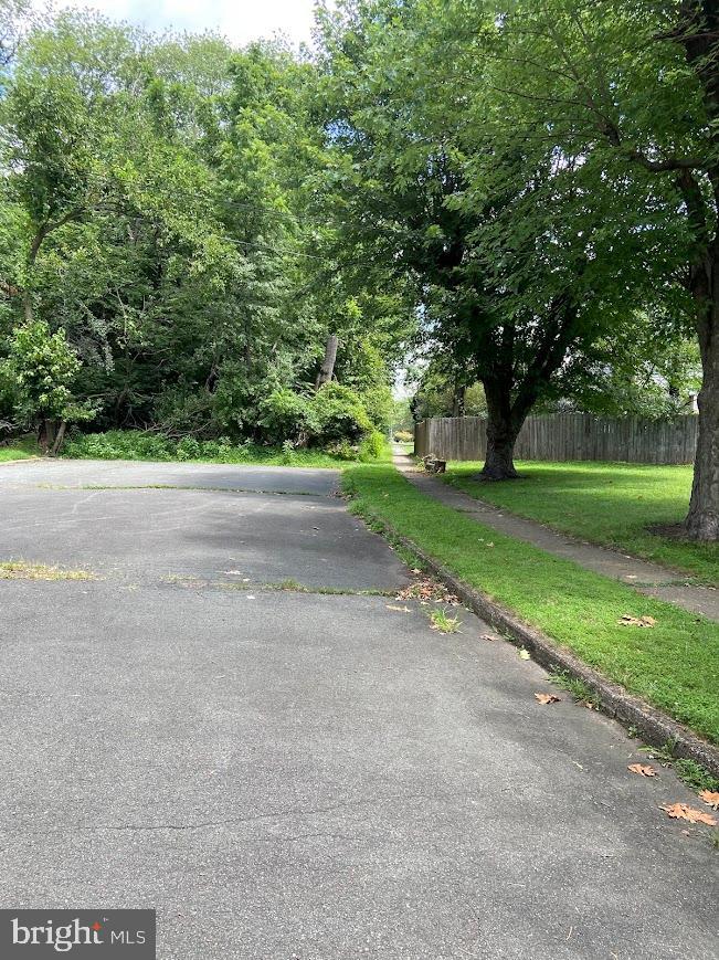 25 Fran Avenue Ewing, NJ 08618 - Photo 6 of 21 a view of road and trees