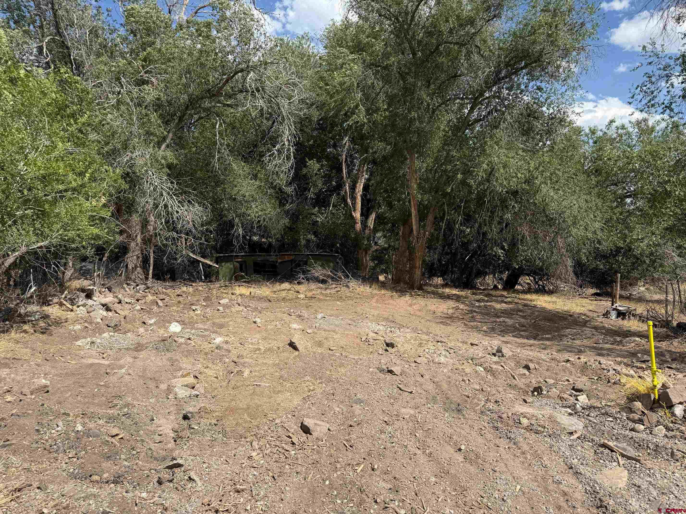 a view of backyard with green space