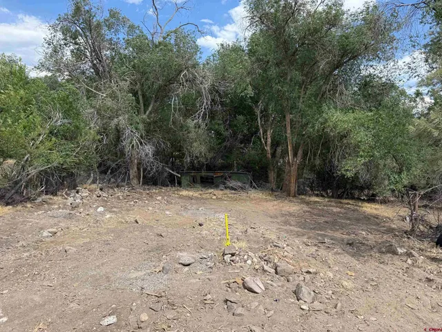 a view of outdoor space with trees