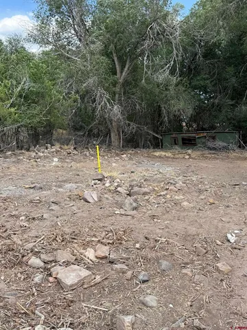 a backyard of a house with lots of trees