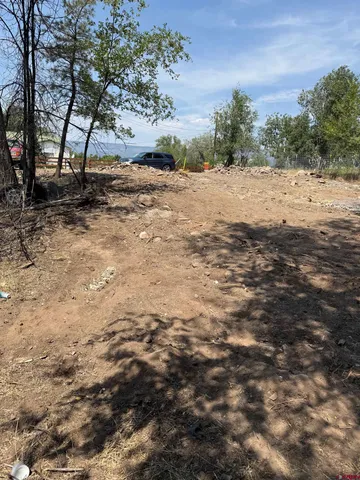 a view of dirt yard with a large tree