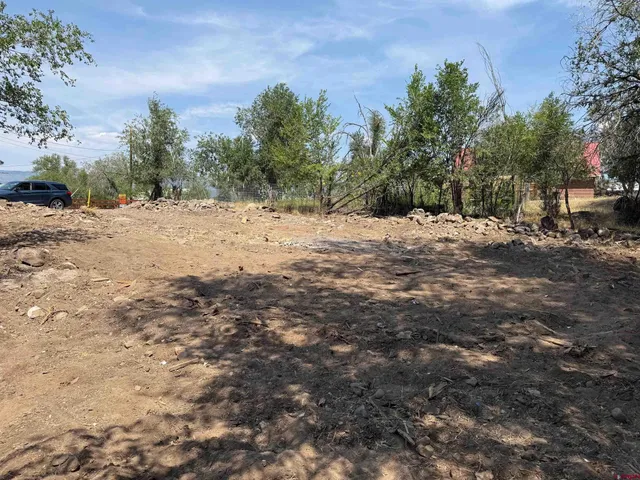 a view of a yard with a tree