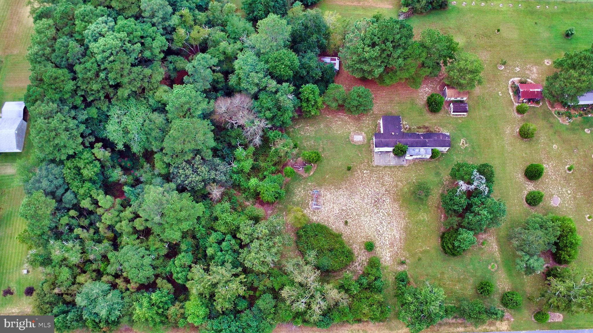 6494 Powellville Road Willards, MD 21874 - Photo 4 of 7