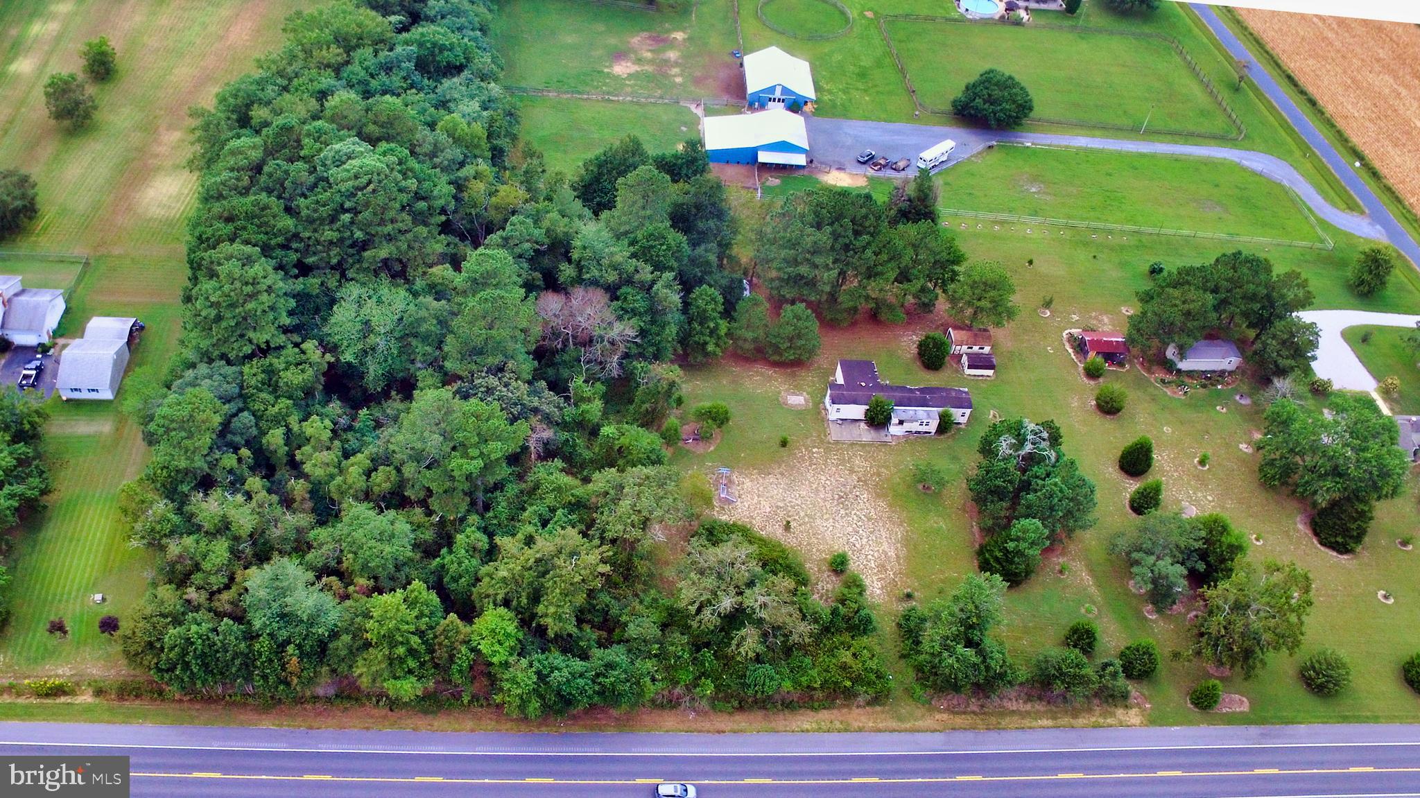 6494 Powellville Road Willards, MD 21874 - Photo 5 of 7