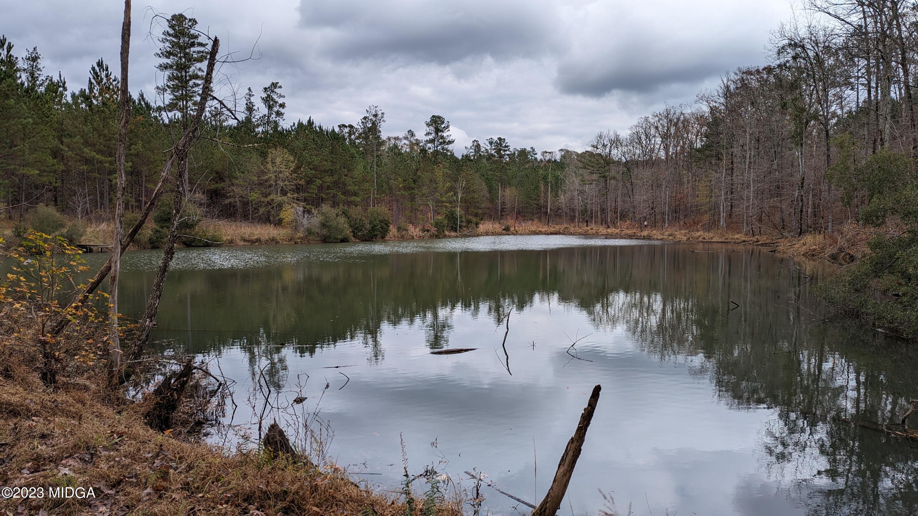 0 Forest Service Road Monticello, GA 31064 - Photo 1 of 32 a view of a lake with a mountain in the background