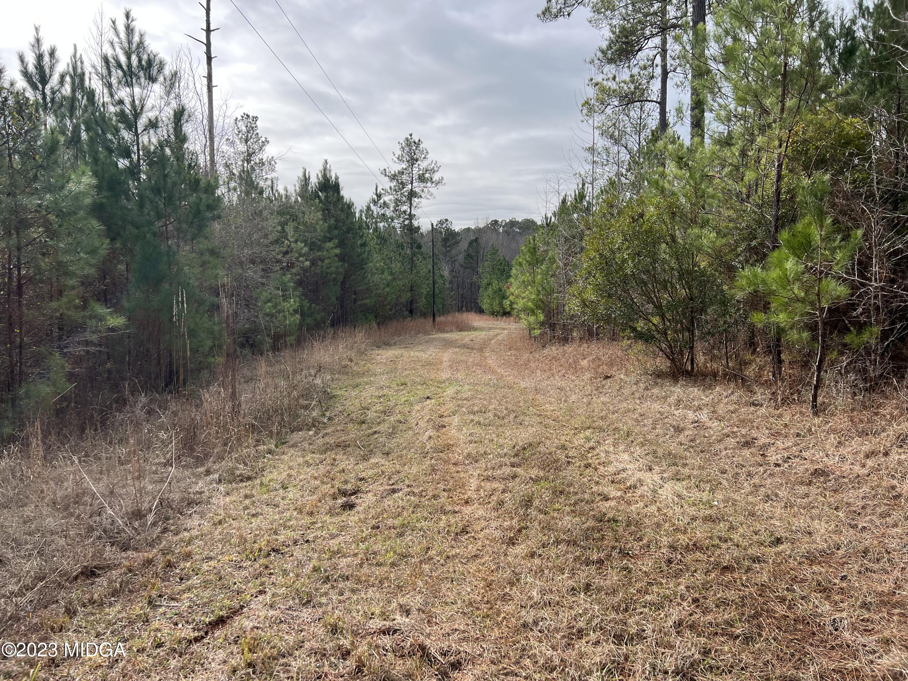 0 Forest Service Road Monticello, GA 31064 - Photo 14 of 32 a big yard with lots of green space