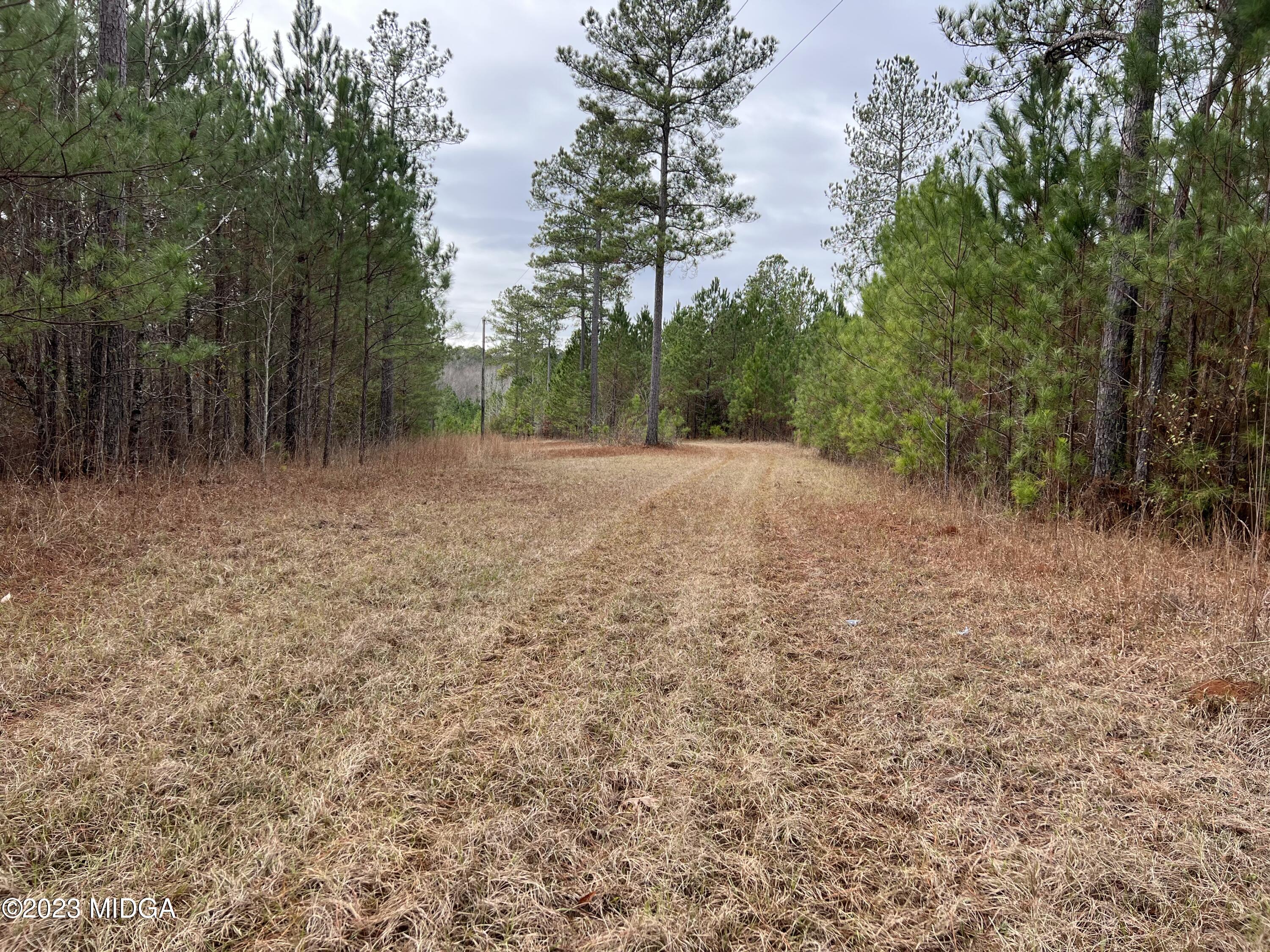 0 Forest Service Road Monticello, GA 31064 - Photo 15 of 32 a view of outdoor space and yard