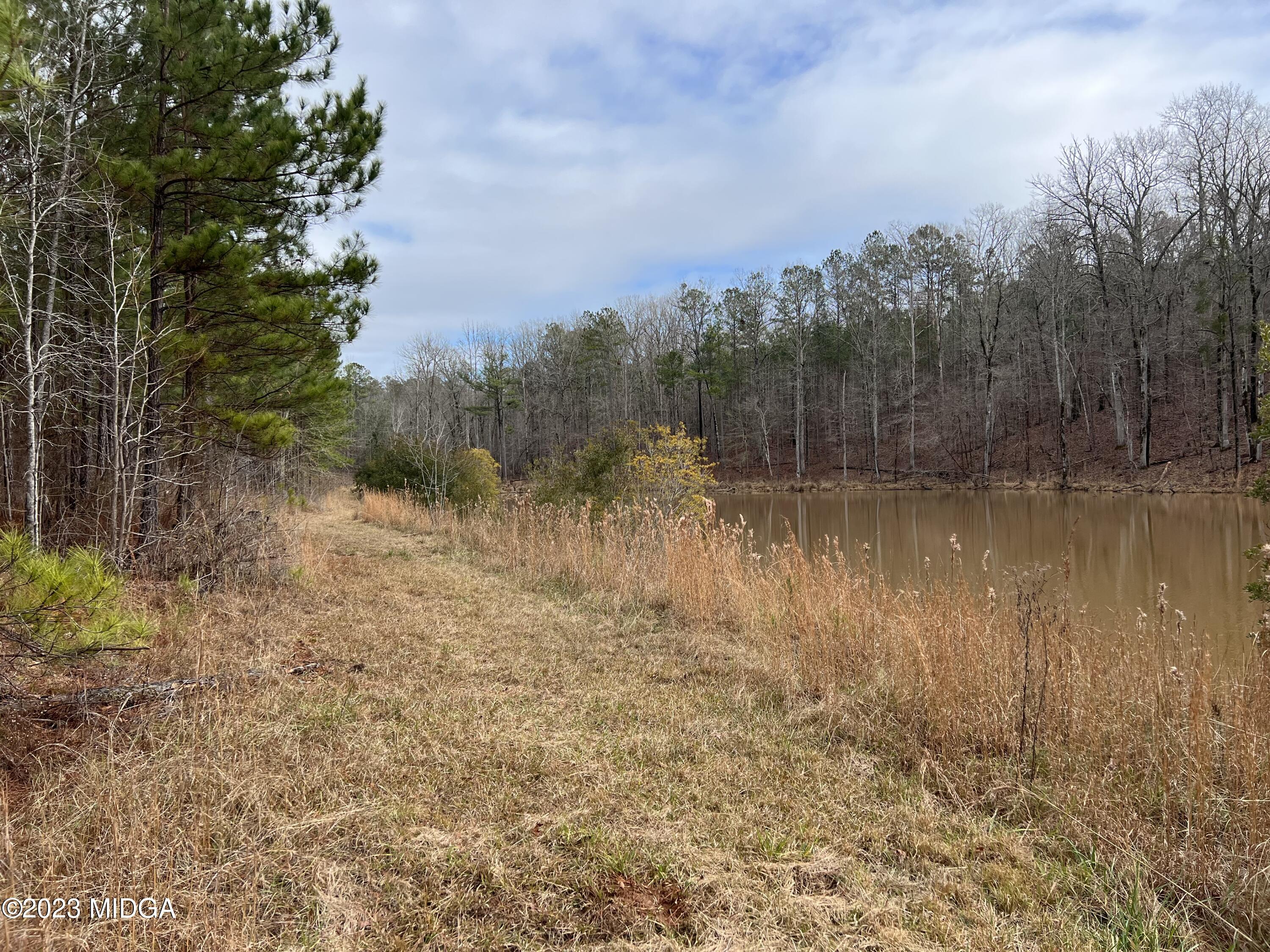 0 Forest Service Road Monticello, GA 31064 - Photo 18 of 32 a view of a lake with trees in the background