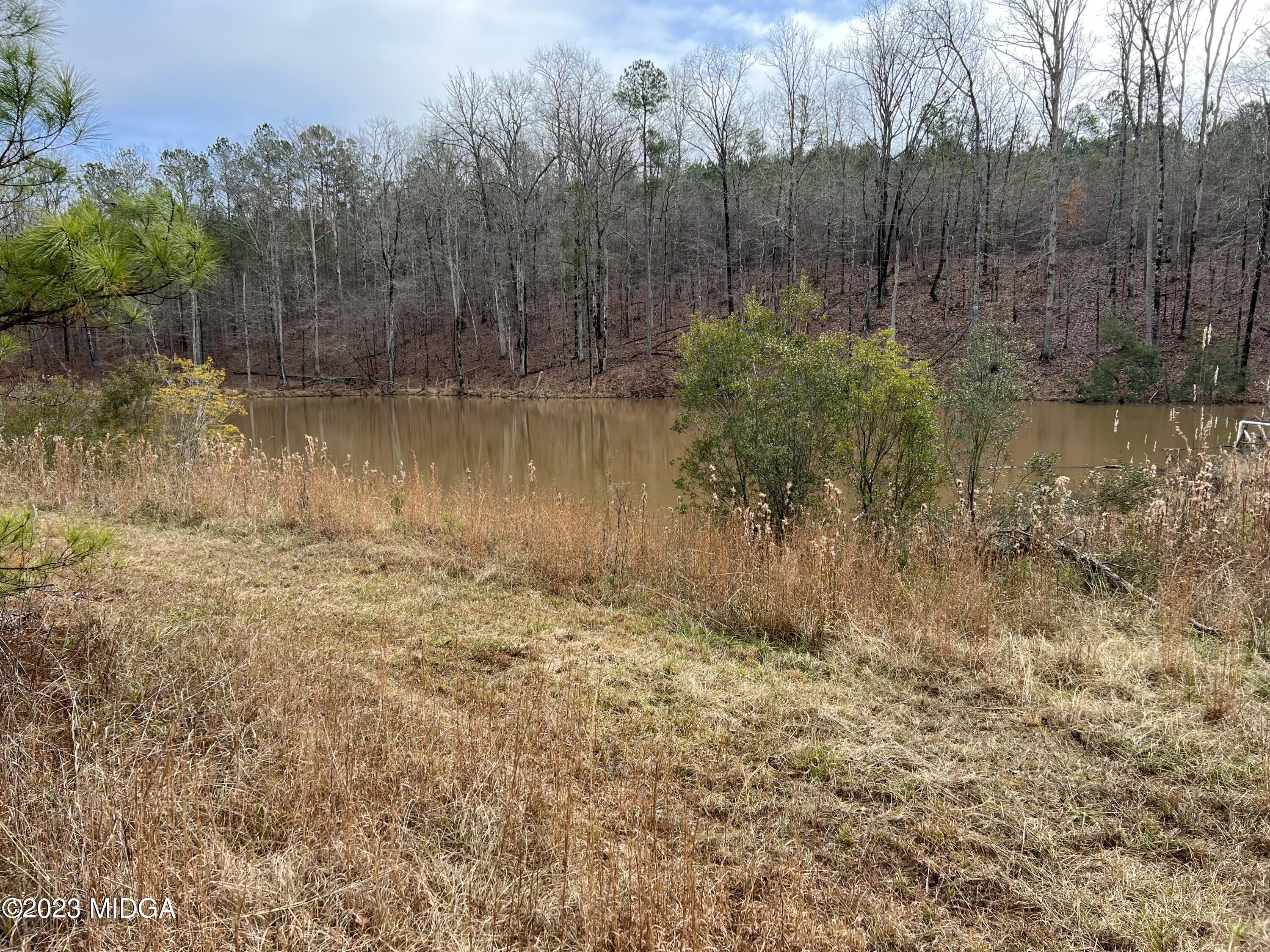 0 Forest Service Road Monticello, GA 31064 - Photo 19 of 32 a view of a lake view