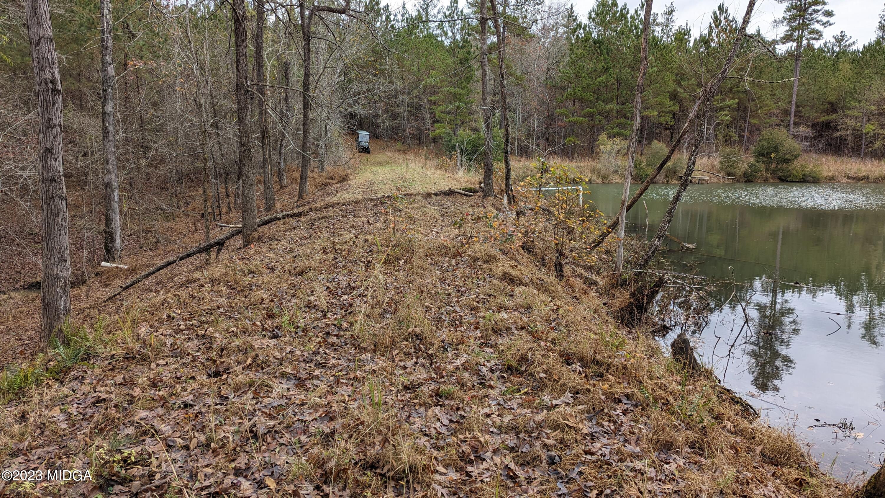 0 Forest Service Road Monticello, GA 31064 - Photo 3 of 32