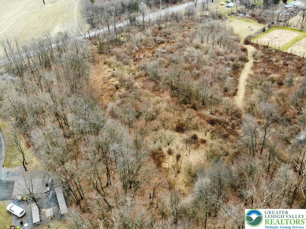 3297 Mountain Road Slatington, PA 18080 - Photo 3 of 8 a view of a yard with trees