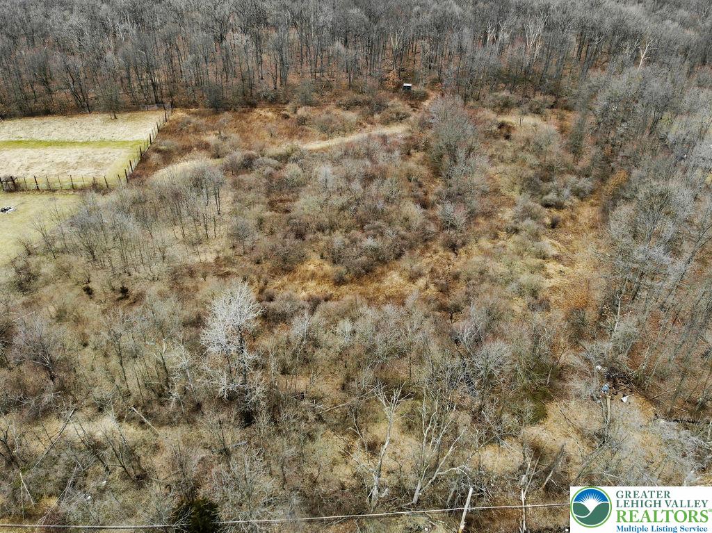 3297 Mountain Road Slatington, PA 18080 - Photo 7 of 8 a view of a dry yard with trees