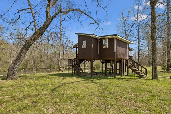 a view of a park with plants and large trees