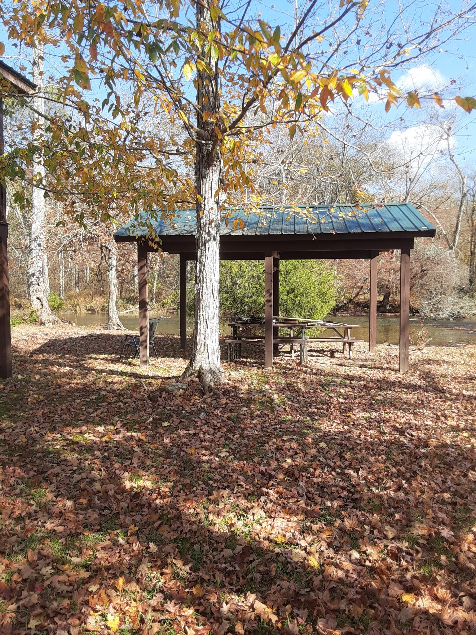 506 Tablerock Road Hohenwald, TN 38462 - Photo 56 of 64 a backyard of a house with a large tree
