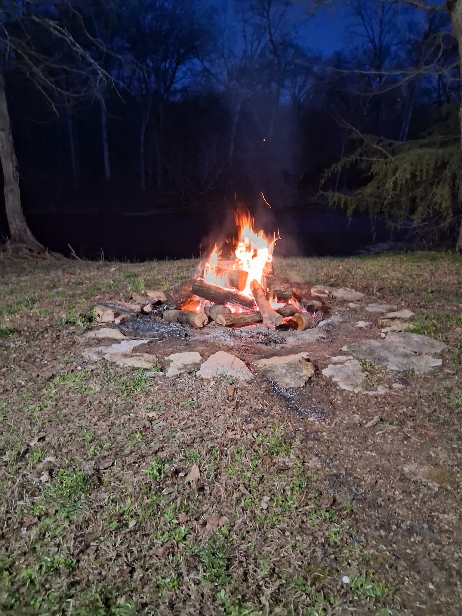 506 Tablerock Road Hohenwald, TN 38462 - Photo 64 of 64 a view of a backyard of a house