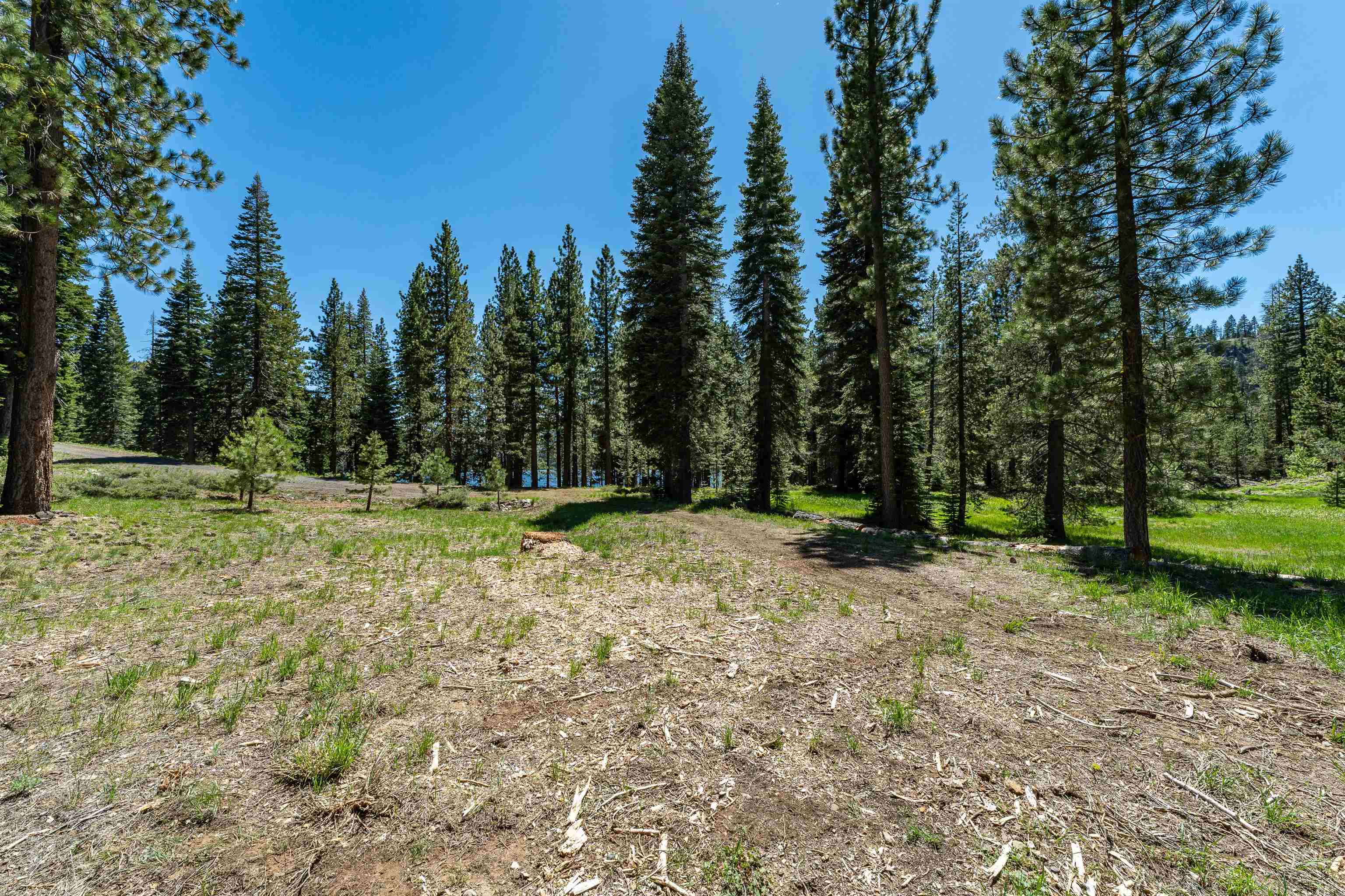 Henness Pass Road Sierra City, CA 96125 - Photo 15 of 28