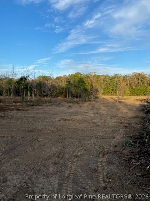 1634 Sweetie Road Fayetteville, NC 28312 - Photo 25 of 26 Pic from when cleared a few years ago