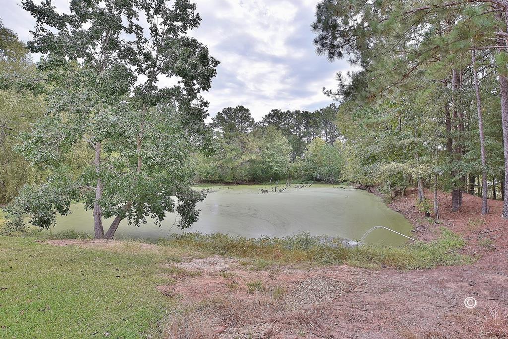 5120 Old River Road Fortson, GA 31808 - Photo 20 of 25 Gallery Image 20