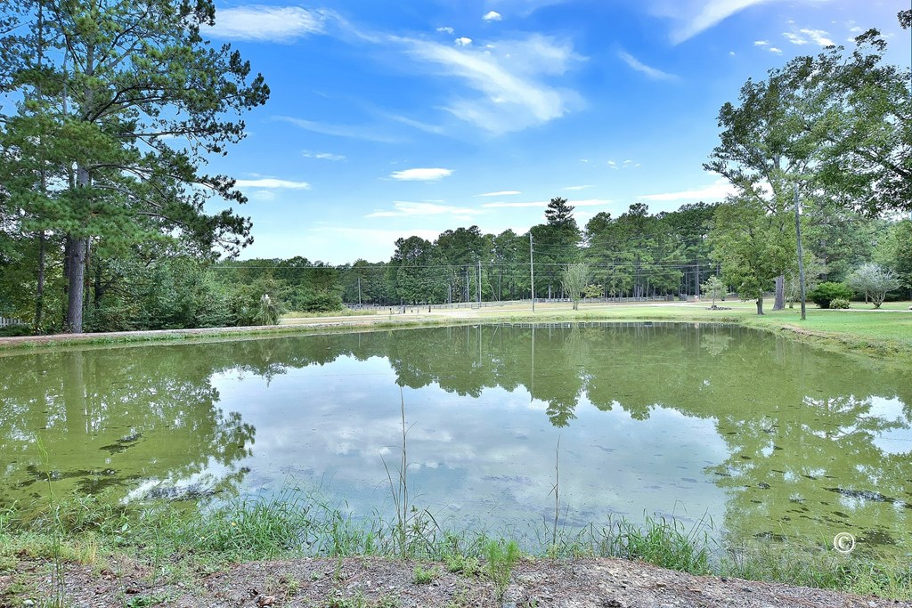 5120 Old River Road Fortson, GA 31808 - Photo 23 of 25 Gallery Image 23