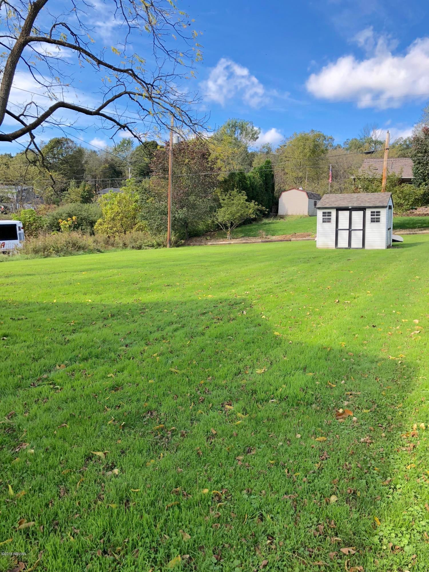 314 Fairview Street Avis, PA 17721 - Photo 15 of 15 large back yard