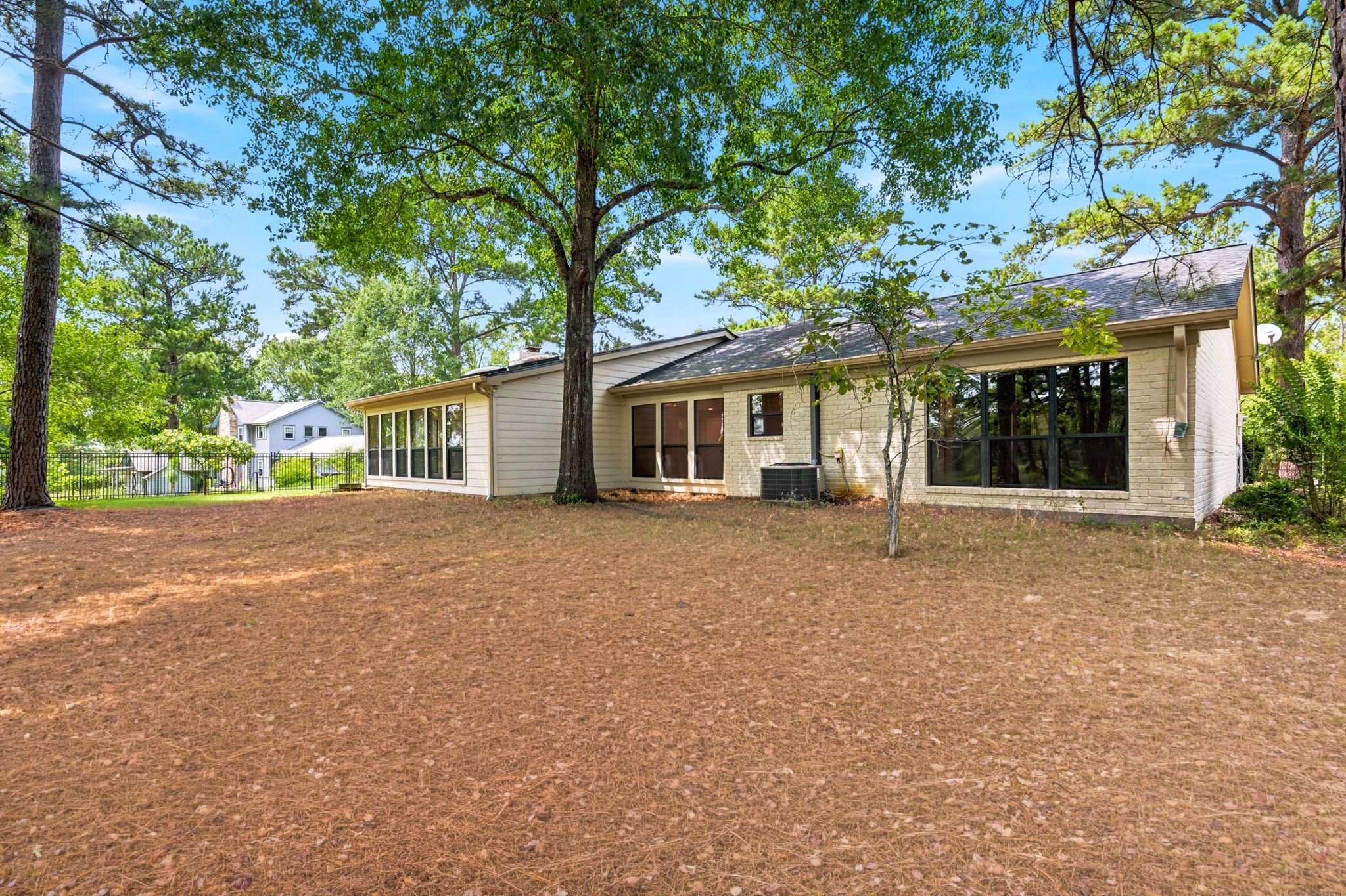 22509 Pebble Beach Way Point Blank, TX 77364 - Photo 28 of 30 Back yard framed by mature pines