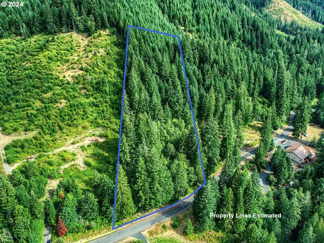 $350,000 | Bear Creek Road, Carson, WA 98610