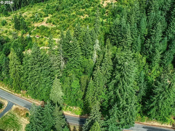 $300,000 | Bear Creek Road, Carson, WA 98610