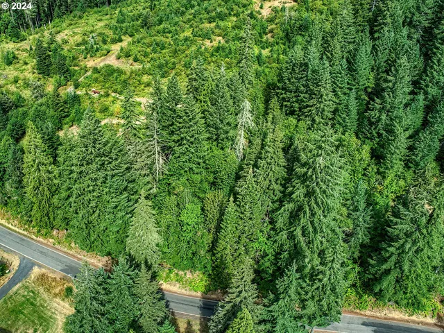 $350,000 | Bear Creek Road, Carson, WA 98610