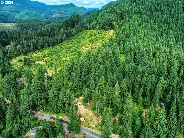 $300,000 | Bear Creek Road, Carson, WA 98610