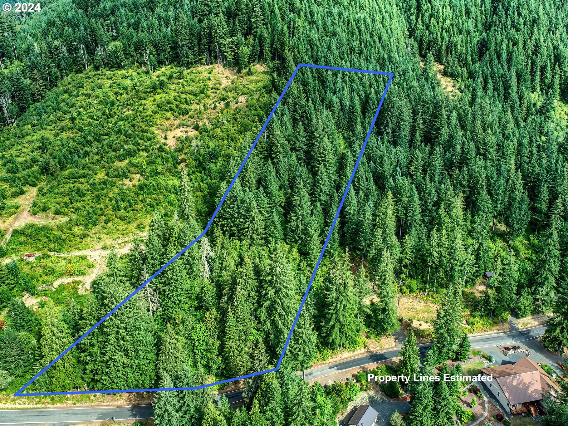 Bear Creek Road Carson, WA 98610 - Photo 4 of 8