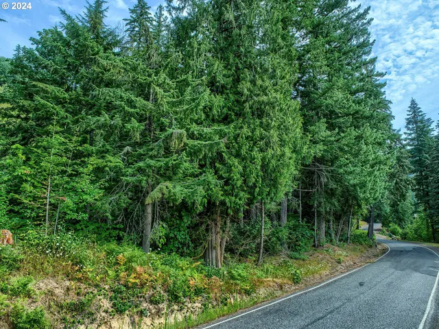 $350,000 | Bear Creek Road, Carson, WA 98610