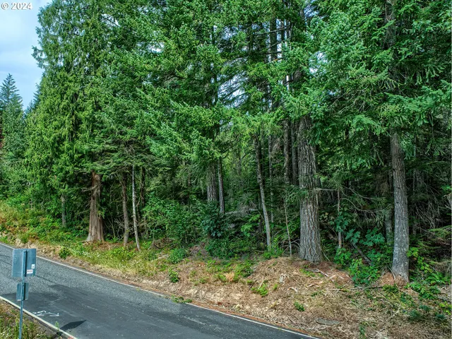 $350,000 | Bear Creek Road, Carson, WA 98610