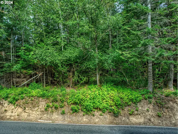 $300,000 | Bear Creek Road, Carson, WA 98610