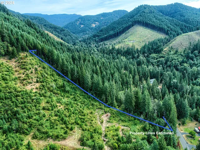 $350,000 | Bear Creek Road, Carson, WA 98610