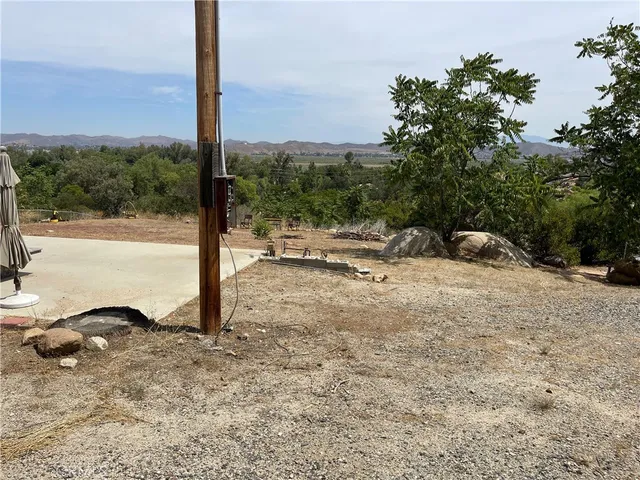 a view of a plant with a yard