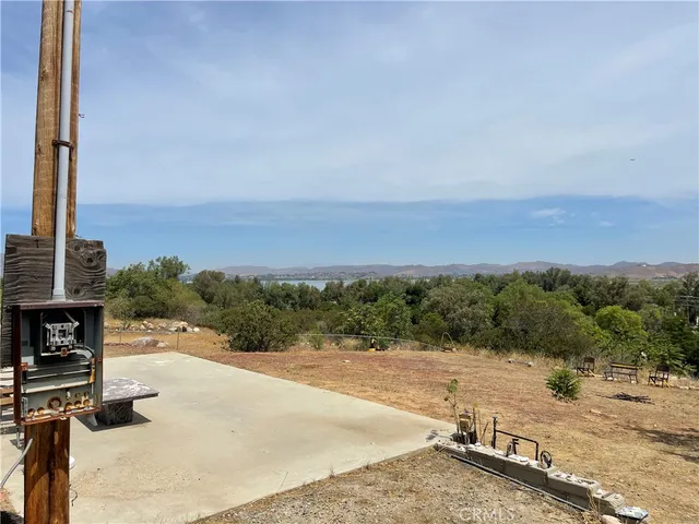 a view of a bunch of flowers in a yard
