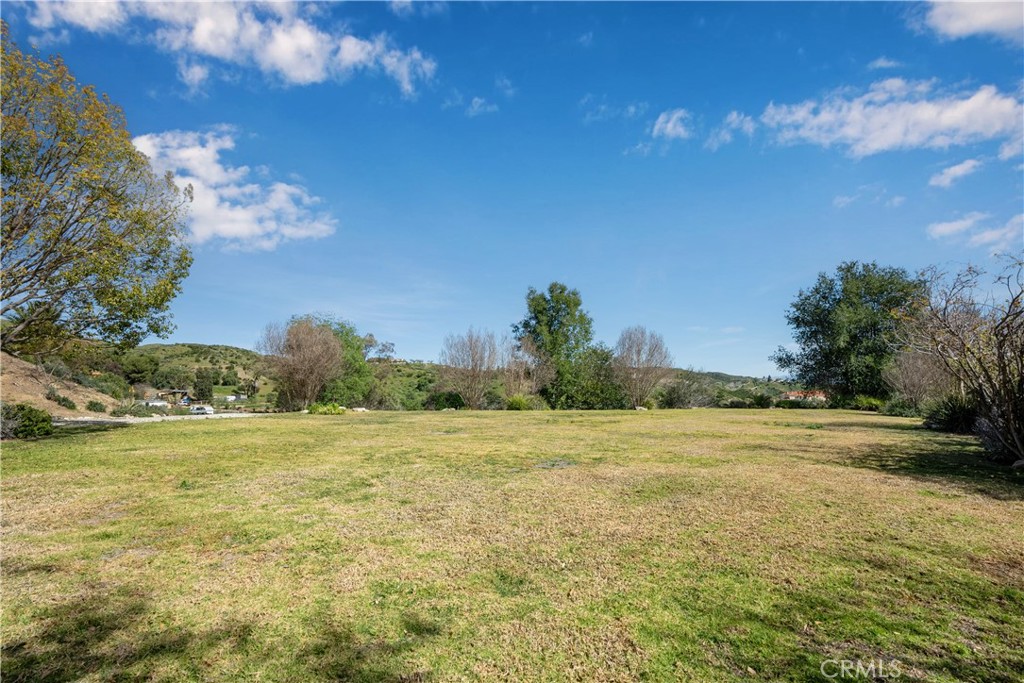 30334 Byfield Road Castaic, CA 91384 - Photo 43 of 48 Lower lawn