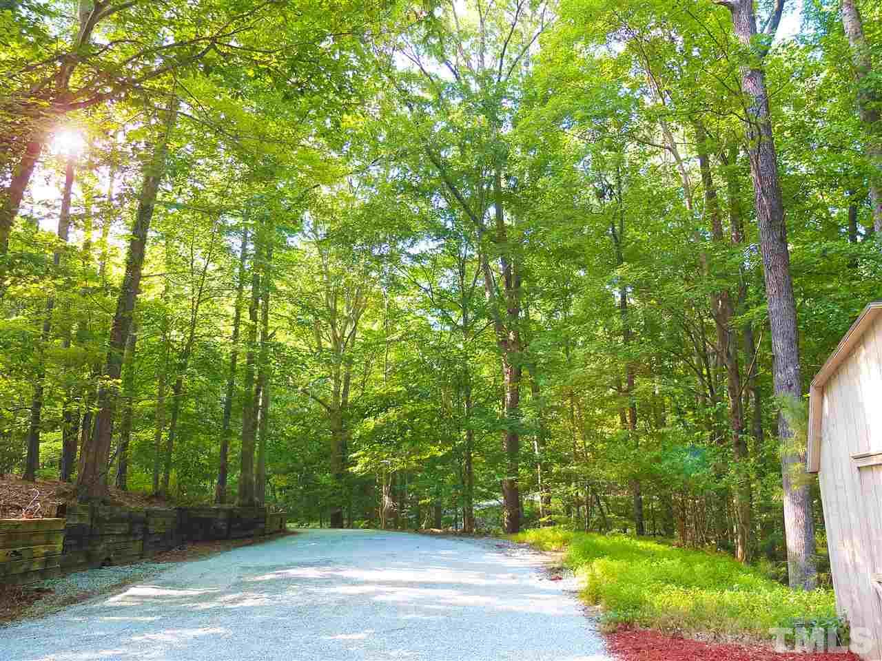 6808 Laurdane Road Raleigh, NC 27613 - Photo 23 of 25 a view of a yard with plants and large trees