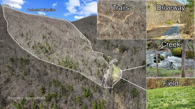 a view of a dry yard with mountains in the background