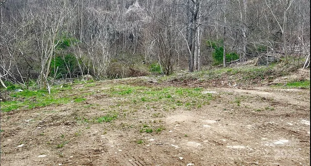 a view of a car in a forest