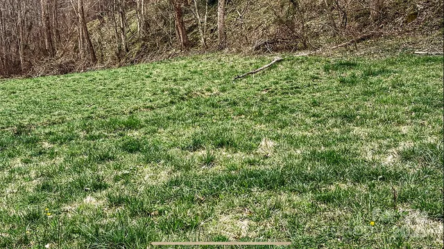 a view of a dry yard with mountains in the background