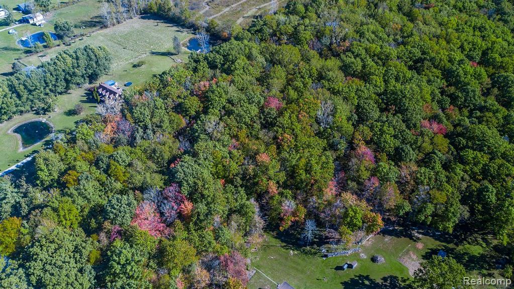 200 Nolan Road Goodells, MI 48027 - Photo 6 of 12